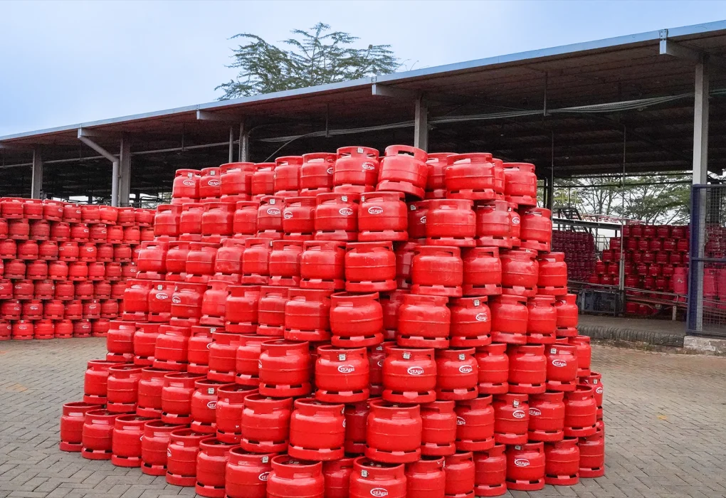 Gas-Supply-Seagas-Progas-Proto-Energy